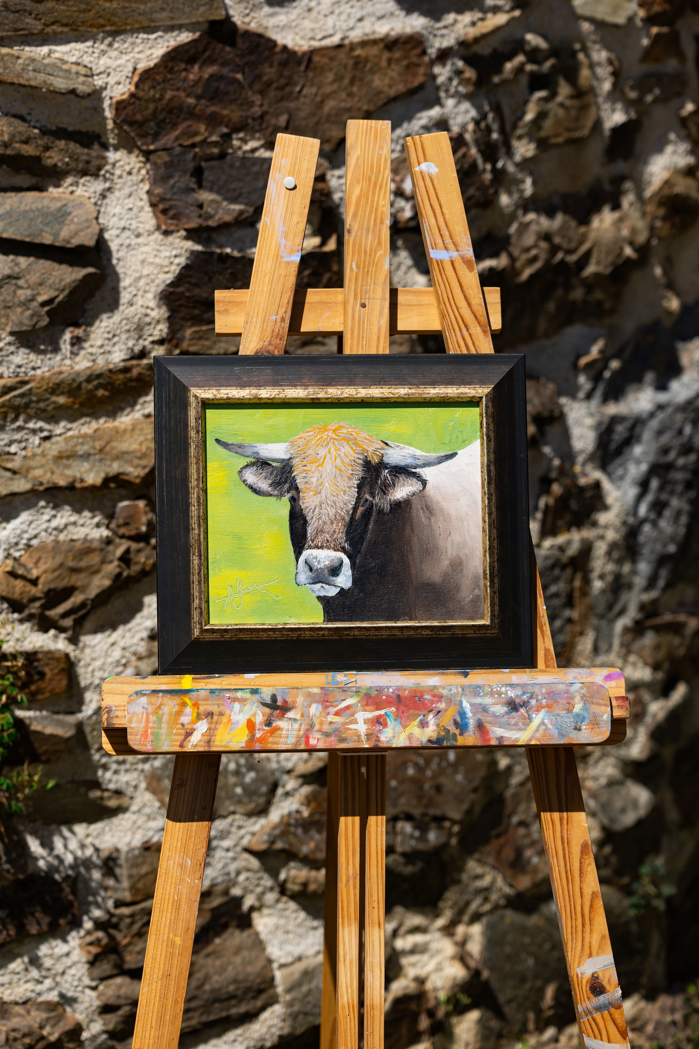 Book d’artiste — 01 — photographie de Mathieu Alaux