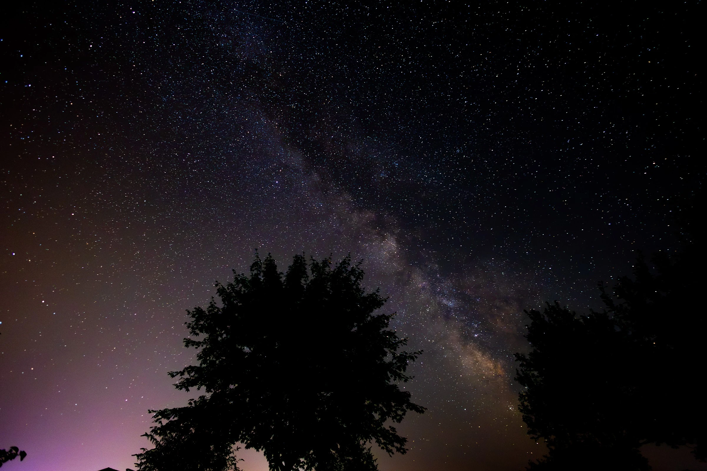 Voie lactée & arbres, photographie de Mathieu Alaux