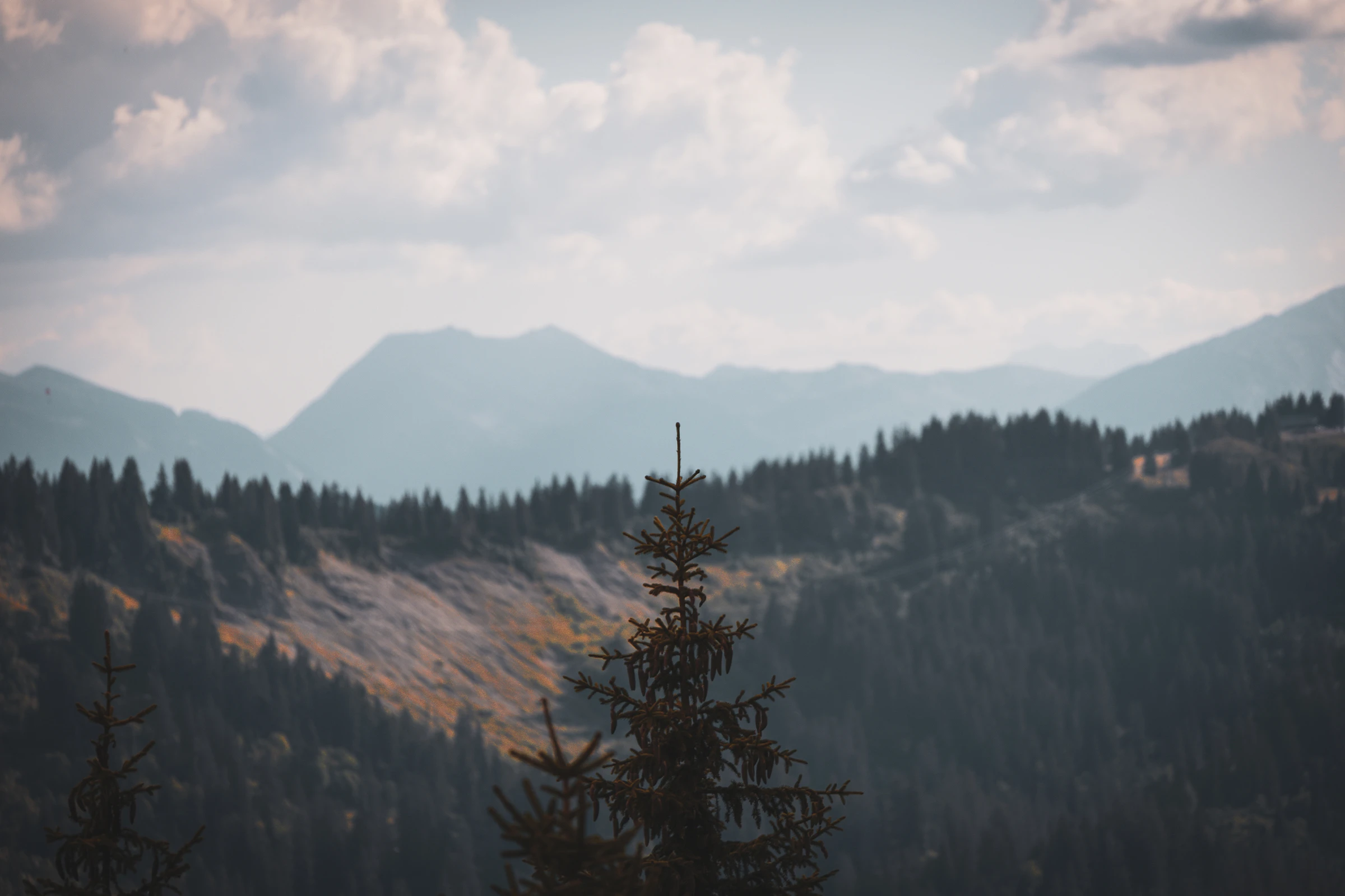 Alpes | Plans de montagne — photographie de Mathieu Alaux
